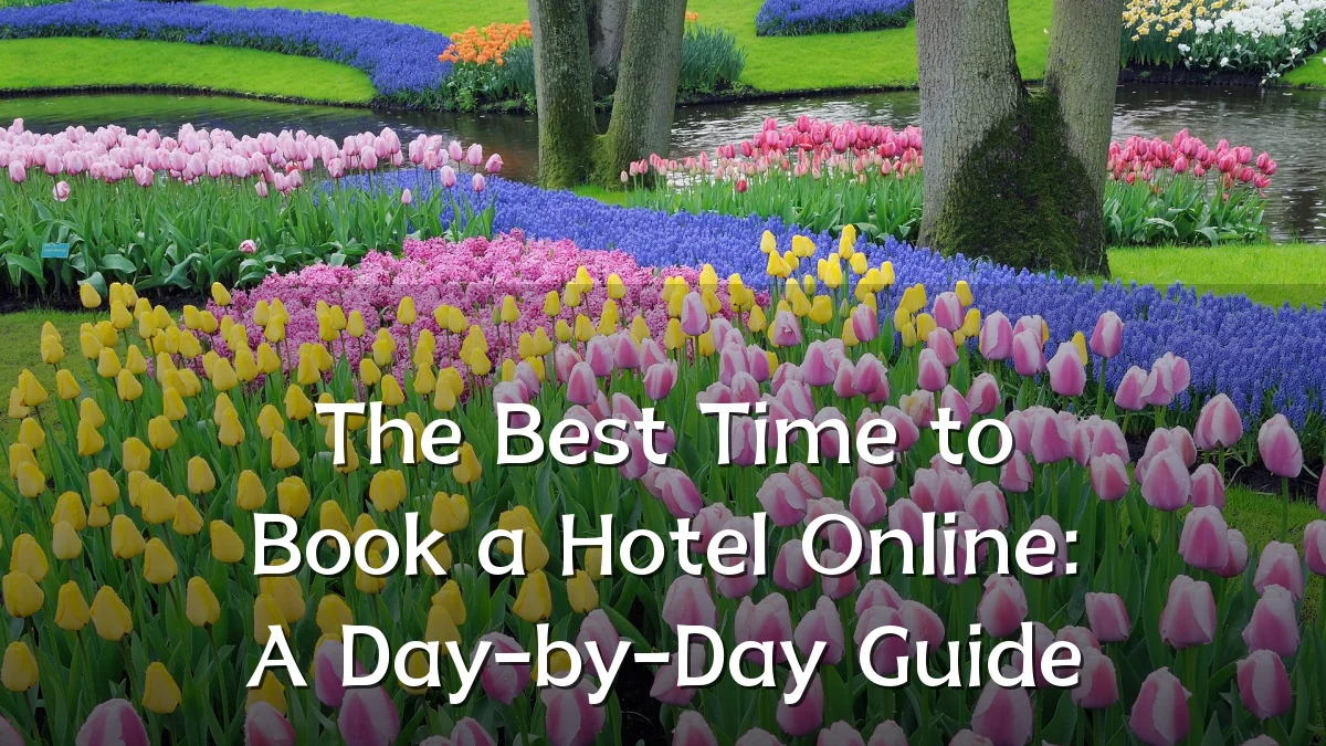 The Best Time to Book a Hotel Online: A Day-by-Day Guide