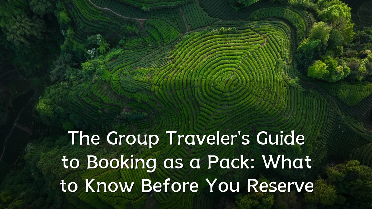 The Group Traveler's Guide to Booking as a Pack: What to Know Before You Reserve