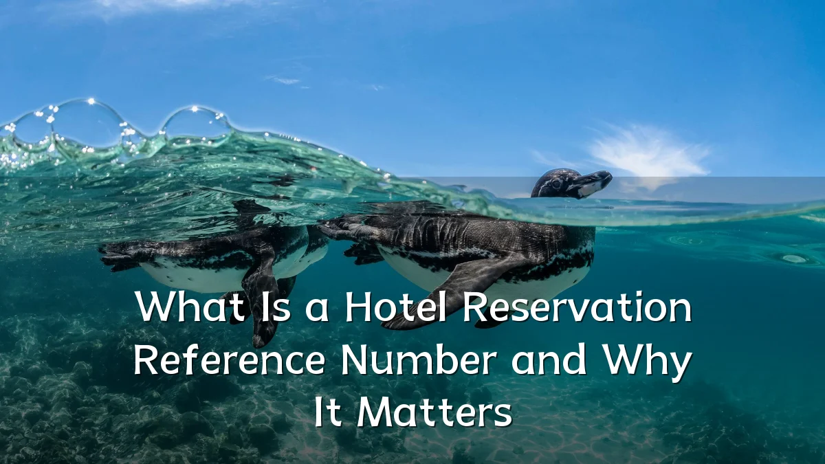 What Is a Hotel Reservation Reference Number and Why It Matters